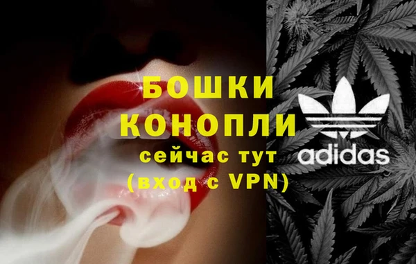 кокс Вяземский