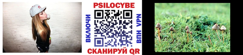даркнет сайт  Кировград  darknet формула  Галлюциногенные грибы мицелий 